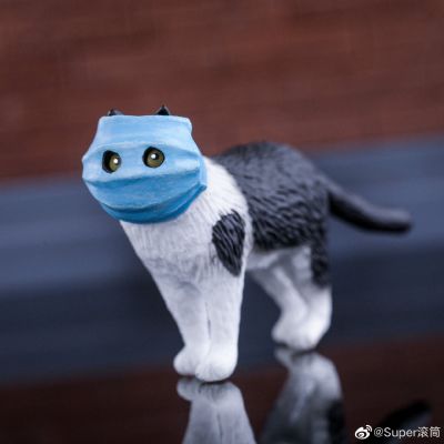 口罩猫