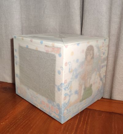 某科学的超电磁炮 御坂美琴 皱边泳衣、呱太泳圈