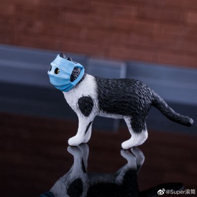 口罩猫