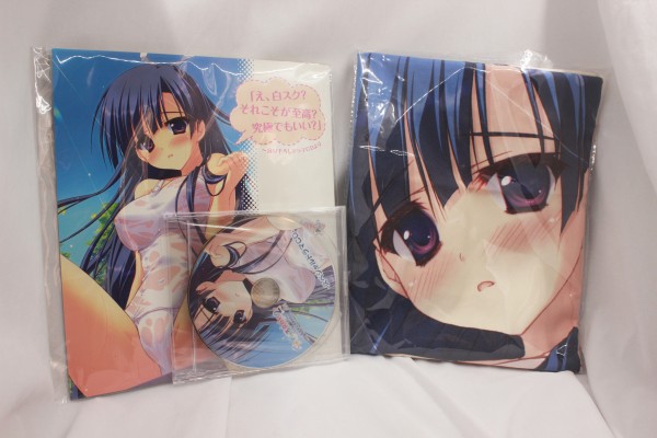 架向星空之桥 神本圆佳～ゲーマガオリジナルVer.～【通常版】