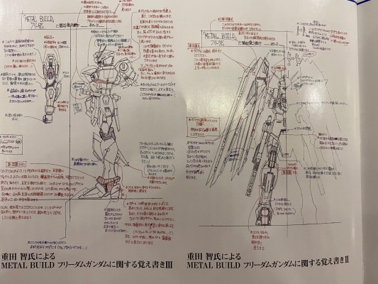 METAL BUILD 机动战士高达SEED ZGMF-X10A 自由高达