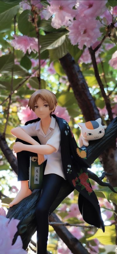 夏目友人帐 斑 （猫咪老师）&夏目贵志 重涂版