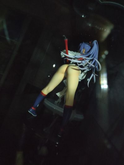 百花繚乱 后藤又兵卫 剑姫Ver.