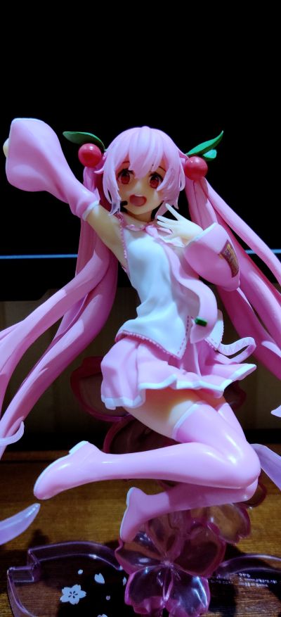 TAITO赏主店 初音未来系列 樱花未来 跃动