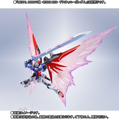 ROBOT魂 机动战士高达SEED DESTINY ZGMF-X42S命运高达 专用光翼＆特效件套装