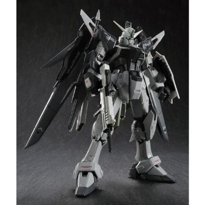 RG 命运高达 PS装甲未启动样式
