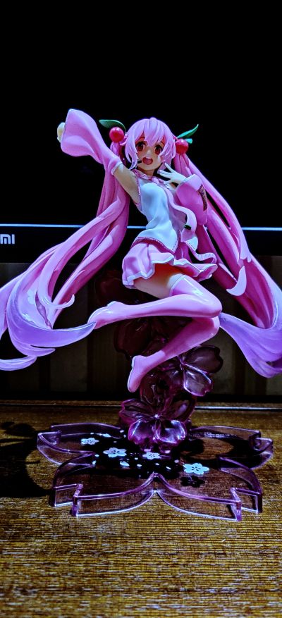 TAITO赏主店 初音未来系列 樱花未来 跃动