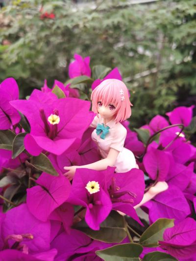 出包王女Darkness 饮料架 梦梦