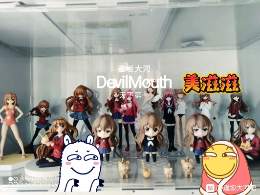 龙与虎 逢坂大河