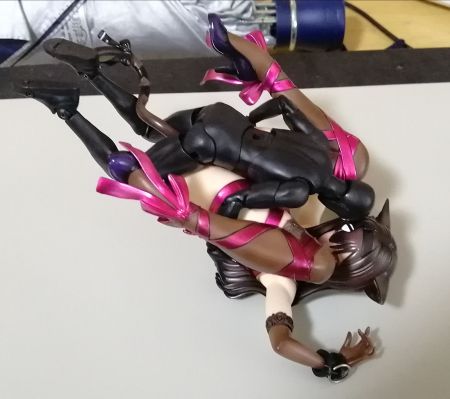 猫星球 猫和椅子