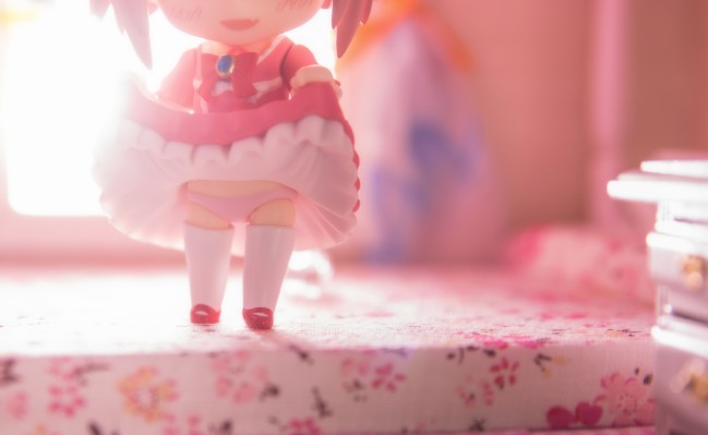 粘土人#884 Fate/Apocrypha 阿斯托尔福 黑之Rider