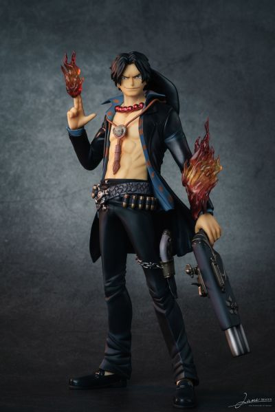 Portrait.Of.Pirates 海贼王 