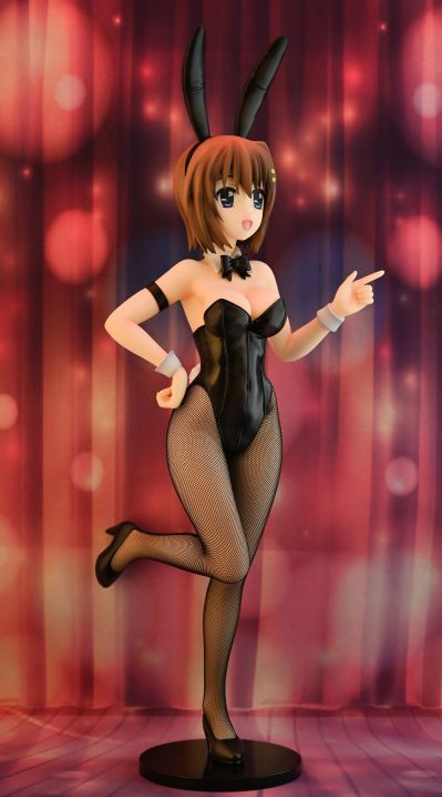 魔法少女奈叶StrikerS 八神疾风 兔女郎版