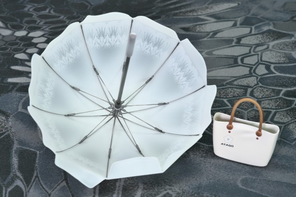 碧蓝航线 爱宕 盛夏进行曲