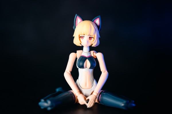 人类陪伴计划 CAT.Felis CAT-002 菲利斯