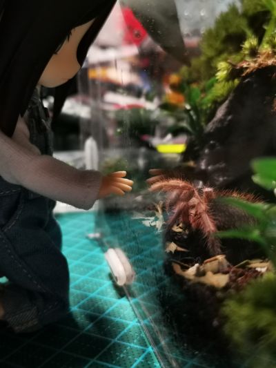 粘土人#1045 一人之下 THE OUTCAST 冯宝宝