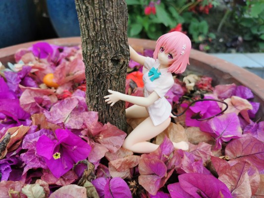 出包王女Darkness 饮料架 梦梦