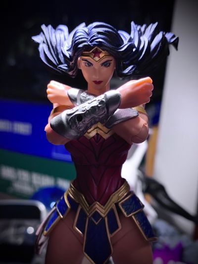 FIGURE COMPLEX 惊奇山口式 编号009 蝙蝠侠