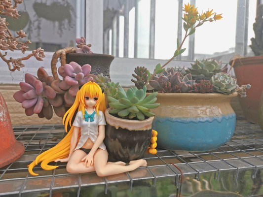 出包王女Darkness 饮料架 梦梦