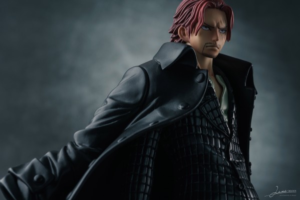 Portrait.Of.Pirates 海贼王