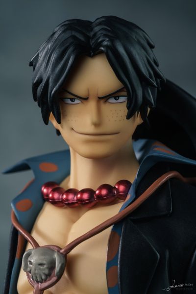 Portrait.Of.Pirates 海贼王 