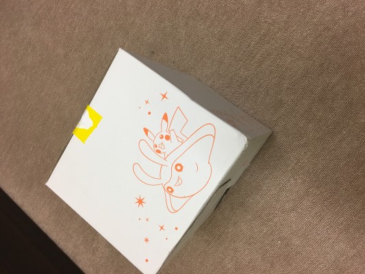 ARTFX J 精灵宝可梦 小菊儿&电飞鼠