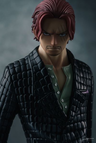 Portrait.Of.Pirates 海贼王