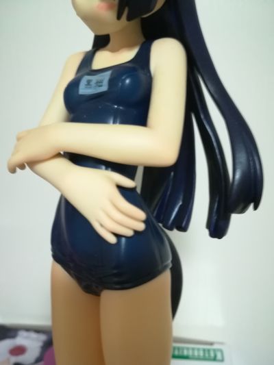 我的妹妹不可能那么可爱 五更瑠璃 黒猫 泳装