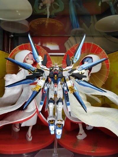 RG 1/144 强袭自由高达