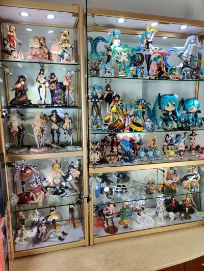 入坑一年半，又要买柜子了