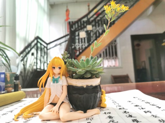 出包王女Darkness 饮料架 梦梦