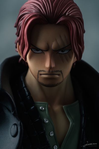 Portrait.Of.Pirates 海贼王