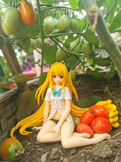 出包王女Darkness 饮料架 梦梦