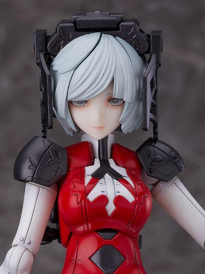 Chitocerium ornatio .face 0.2.0.6.0 α