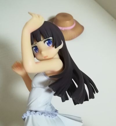 我的妹妹哪有这么可爱 黑猫 白猫