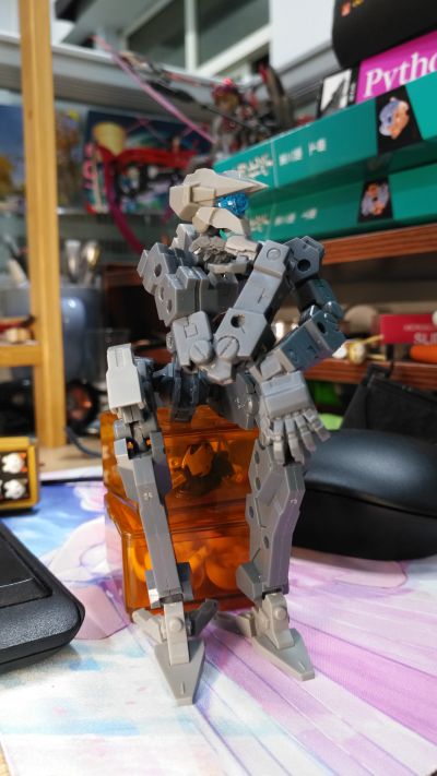 Frame Arms 1/100 フレームアーキテクト リニューアルVer.〈グレー〉