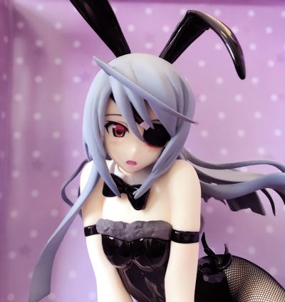 B-style IS〈无限斯特拉托斯〉 拉芙拉・布迪威伊 兔女郎版 2nd