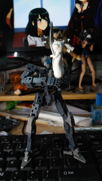 Frame Arms 1/100 フレームアーキテクト リニューアルVer.〈グレー〉