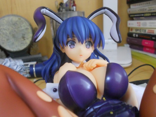 吹石 花