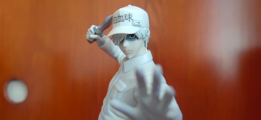 工作细胞 U-1146 白细胞