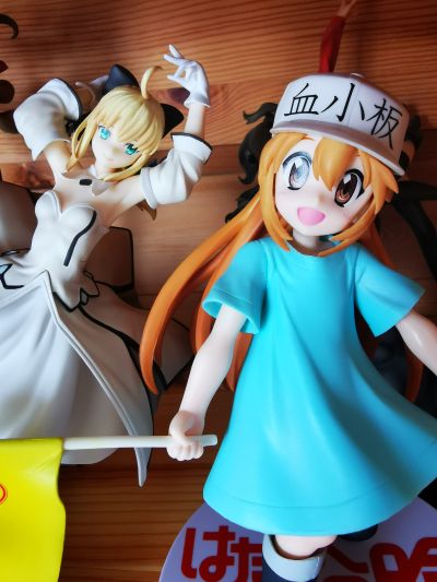 工作细胞 血小板 