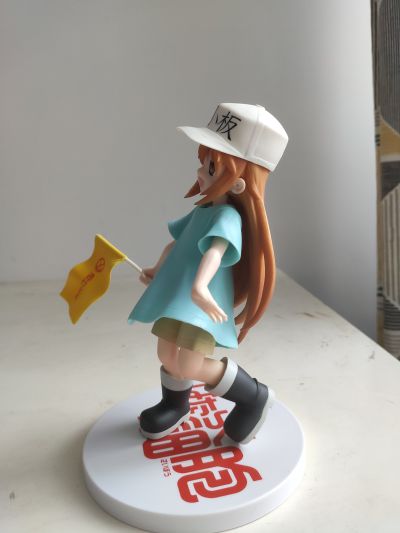 工作细胞 血小板 