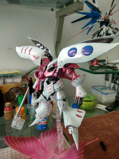 MG  1/100    玫瑰卡碧尼