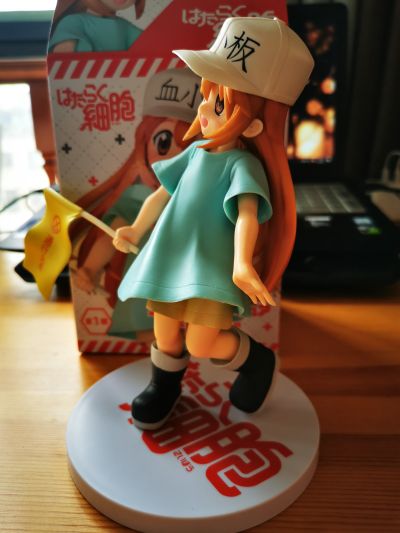 工作细胞 血小板 