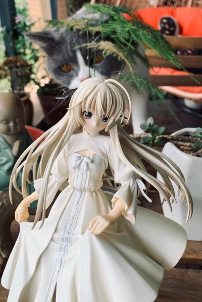 缘之空 春日野穹