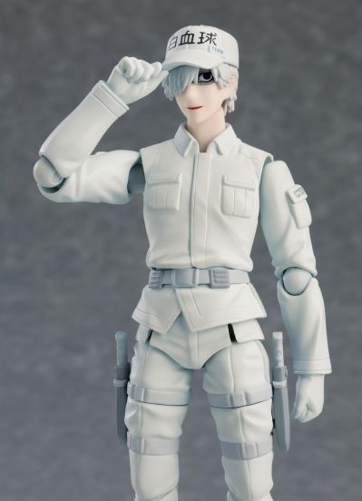 figma#489 工作细胞 白细胞（中性粒细胞）U-1146