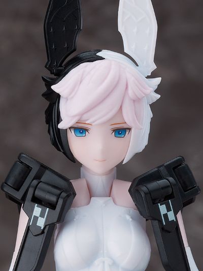 chitocerium ornatio .hair 0.2.0.7.0 γ