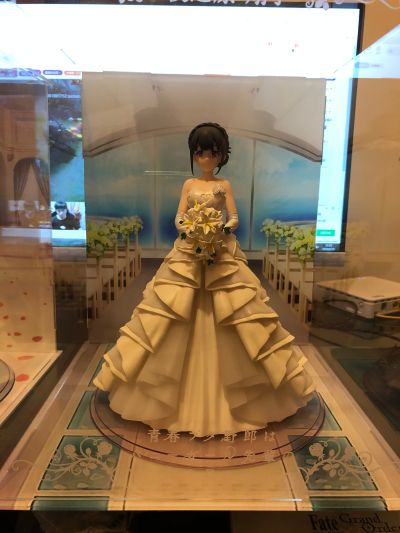 青春猪头少年不会梦到怀梦美少女  樱岛麻衣 婚纱