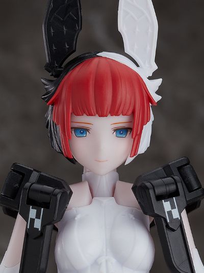 chitocerium ornatio .hair 0.2.0.8.0 γ