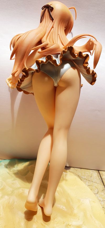 迷茫管家与懦弱的我 近卫昴 泳装版